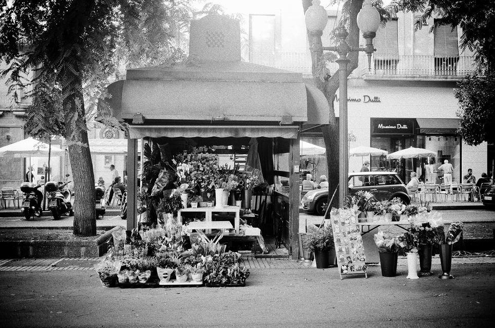 Kiosque de fleurs A black and white photo of a kiosque de fleurs on a city street, surrounded by potted plants and bouquets. Trees and street lamps frame the scene, with people at outdoor café tables and cars parked in the background.