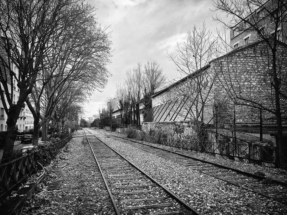 Petite Ceinture / small(er) ring railway near Villa de Bel-Air Black and white image of an abandoned railway track, possibly part of the Petite Ceinture, surrounded by bare trees and old buildings. The scene is desolate, with overgrown vegetation encroaching on the tracks near Villa de Bel-Air, and the sky is overcast, contributing to a somber atmosphere.