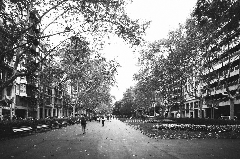 A black and white photograph titled "Sans titre" depicts a broad boulevard lined with tall trees with sparse leaves. People are walking along the sidewalk and the center of the street, enjoying the tranquil urban setting. Benches and buildings line the street on both sides.