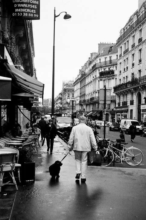 A black and white photo titled "Sans Titre" captures a city street with a man in light-colored clothing walking a dog. The street is lined with tall buildings, parked cars, bicycles, and sidewalk cafes. People are walking and the atmosphere appears overcast. A medical laboratory sign is visible.